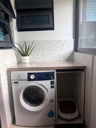 Treasure at Tampines (D18), Condominium #618581031